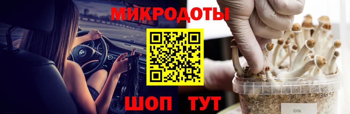 Галлюциногенные грибы GOLDEN TEACHER  Вход с VPN  Галлюциногенные грибы прущие грибы  купить наркотики цена  Ефремов 